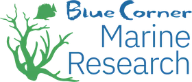 Blue Corner Conservation